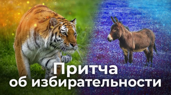 О природе споров и мудрости выбора собеседника